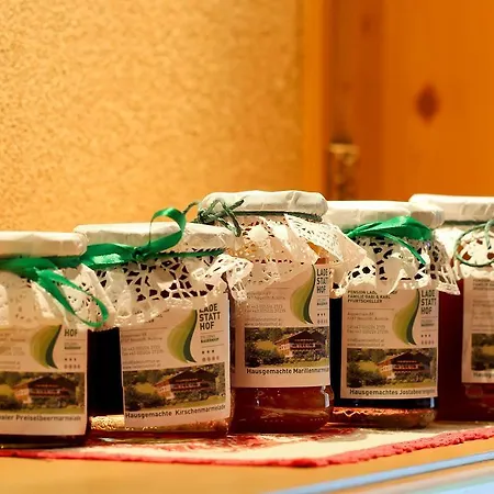 Guest house Ladestatthof Neustift im Stubaital