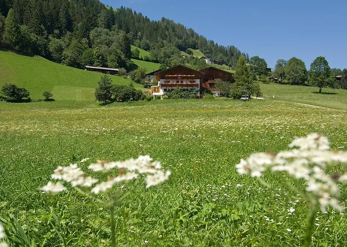 Ladestatthof Pensjonat