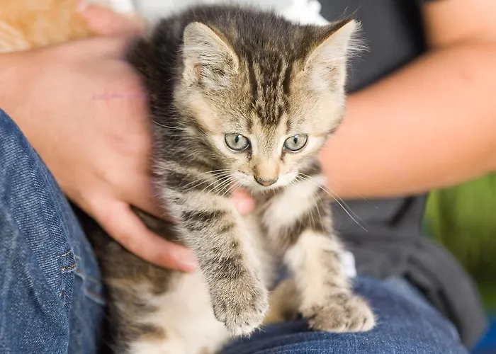 Pensjonat Ladestatthof 3*