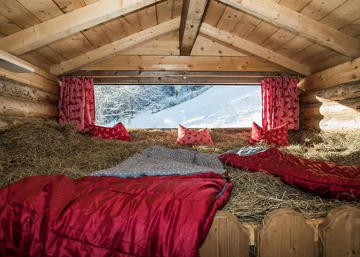 Pensjonat Ladestatthof 3*