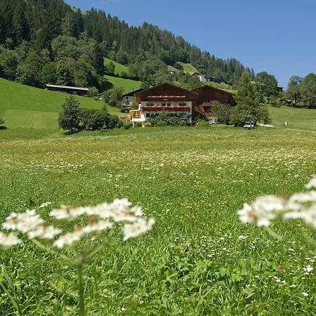 Ladestatthof Pensionat