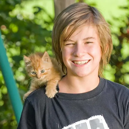 Ladestatthof Pensionat Neustift im Stubaital